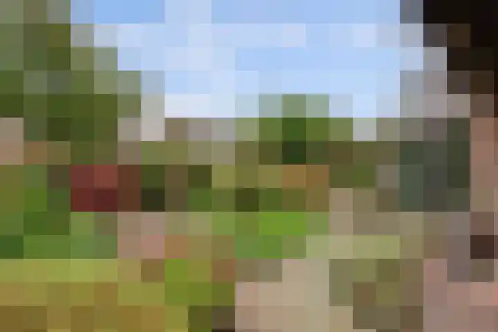 Van Goghstraat 25 Nunspeet thumbnail 34
