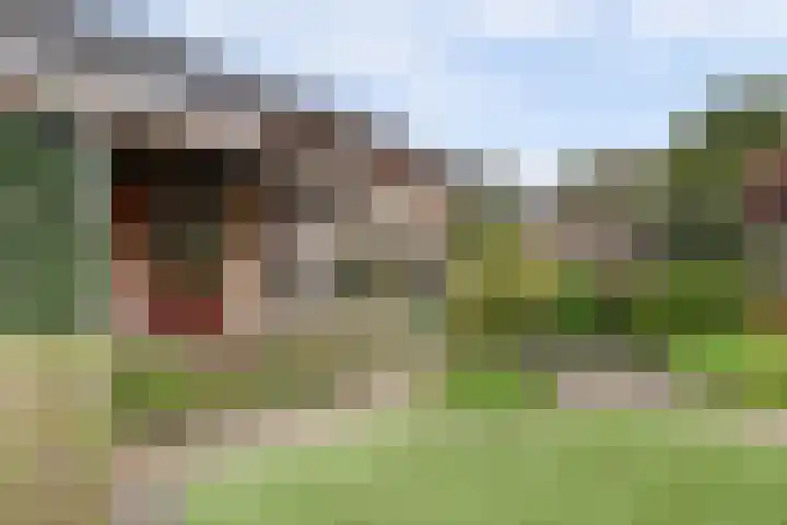 Van Goghstraat 25 Nunspeet thumbnail 36