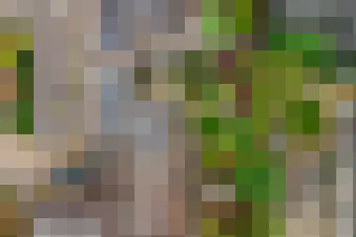 Van Goghstraat 25 Nunspeet thumbnail 37