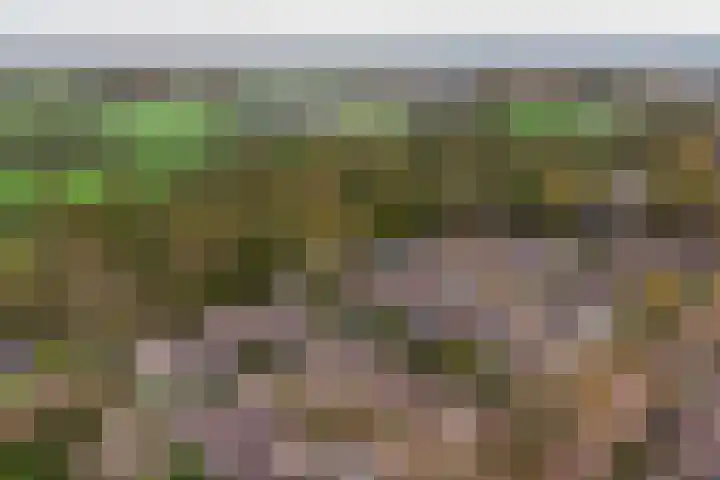 Van Goghstraat 25 Nunspeet thumbnail 38