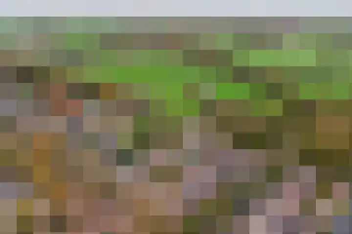 Van Goghstraat 25 Nunspeet thumbnail 39