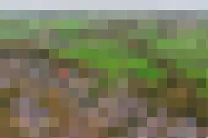 Van Goghstraat 25 Nunspeet thumbnail 40