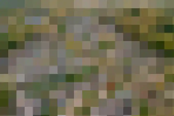 Van Goghstraat 25 Nunspeet thumbnail 41