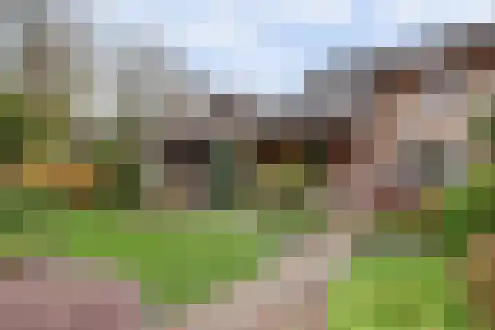 Van Goghstraat 25 Nunspeet thumbnail 6