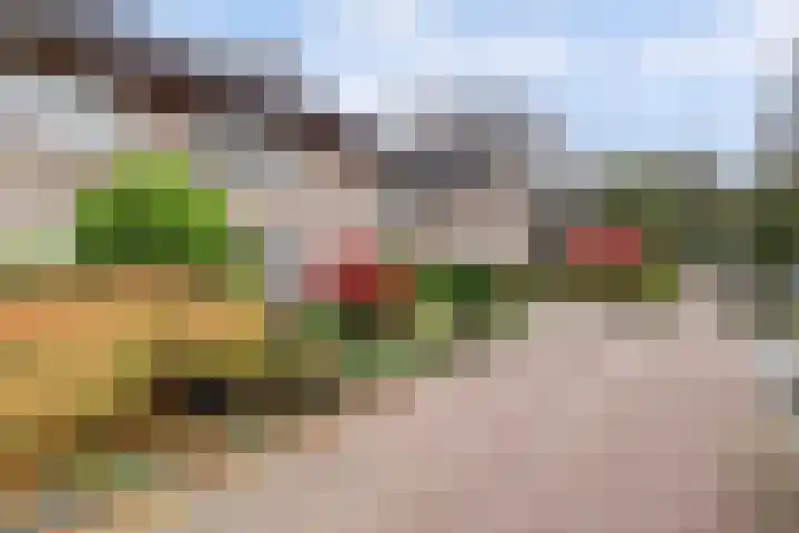 Van Goghstraat 25 Nunspeet thumbnail 7