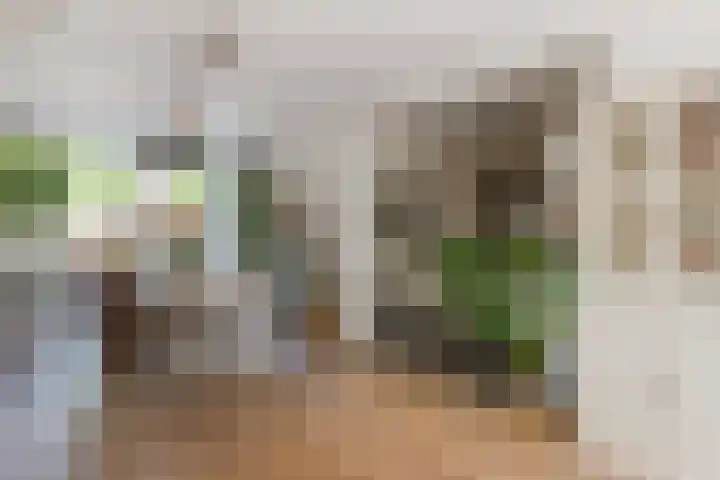 Van Goghstraat 33 Reeuwijk thumbnail 11