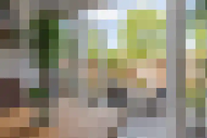 Van Goghstraat 33 Reeuwijk thumbnail 19