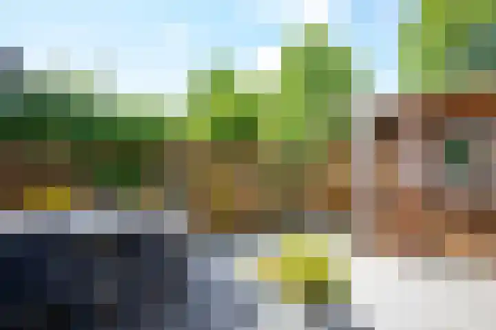 Van Goghstraat 33 Reeuwijk thumbnail 39
