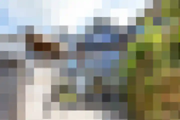 Van Goghstraat 33 Reeuwijk thumbnail 42