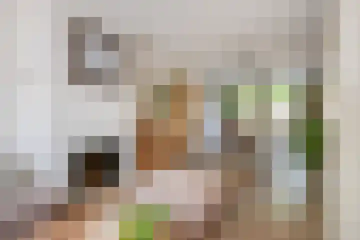 Van Goghstraat 33 Reeuwijk thumbnail 9