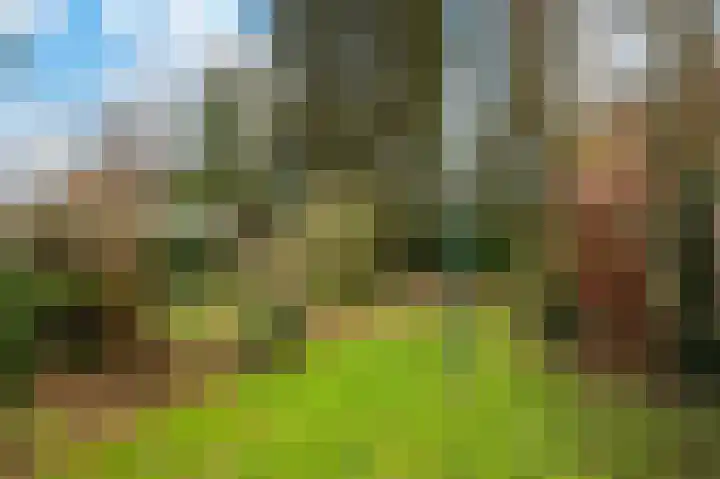 Van Goghstraat 34 Apeldoorn thumbnail 15