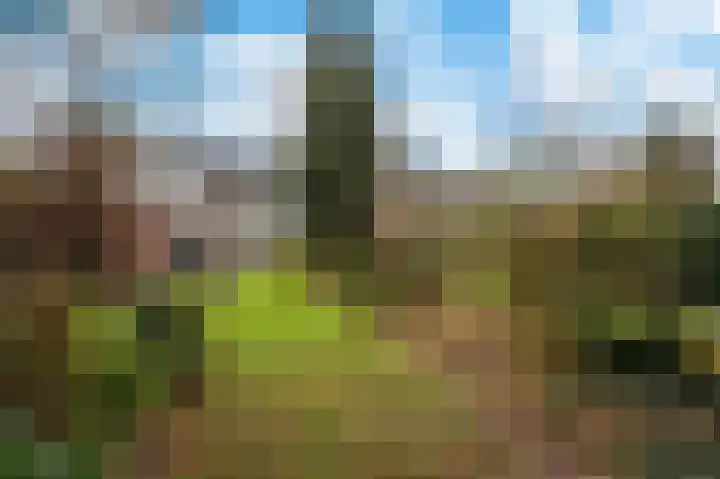 Van Goghstraat 34 Apeldoorn thumbnail 17