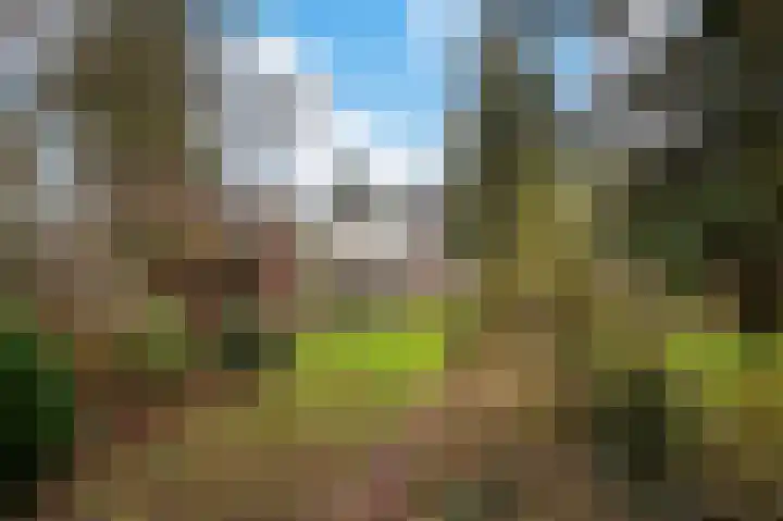 Van Goghstraat 34 Apeldoorn thumbnail 18