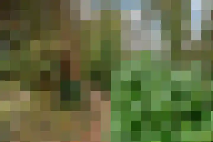 Van Goghstraat 34 Apeldoorn thumbnail 19