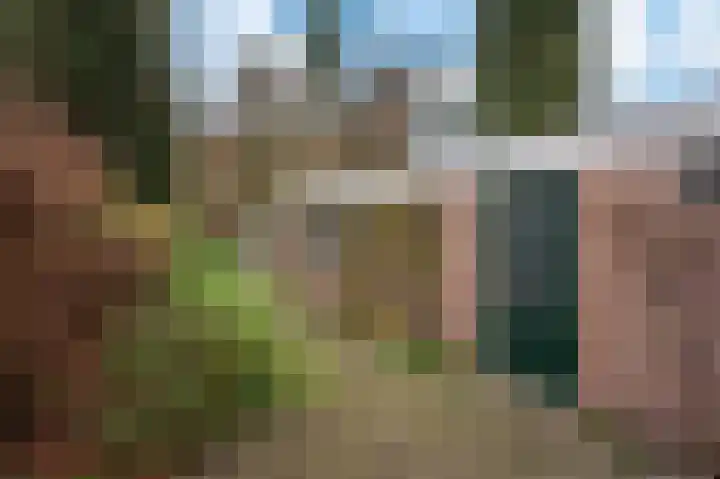 Van Goghstraat 34 Apeldoorn thumbnail 20
