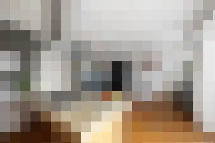 van Goghstraat 34 Twello thumbnail 19