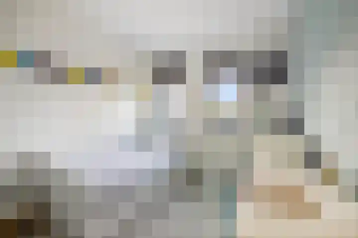 van Goghstraat 34 Twello thumbnail 26