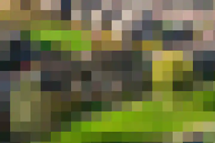 van Goghstraat 34 Twello thumbnail 36