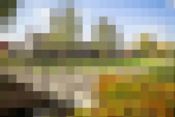 van Goghstraat 34 Twello thumbnail 38