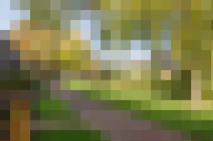 van Goghstraat 34 Twello thumbnail 39