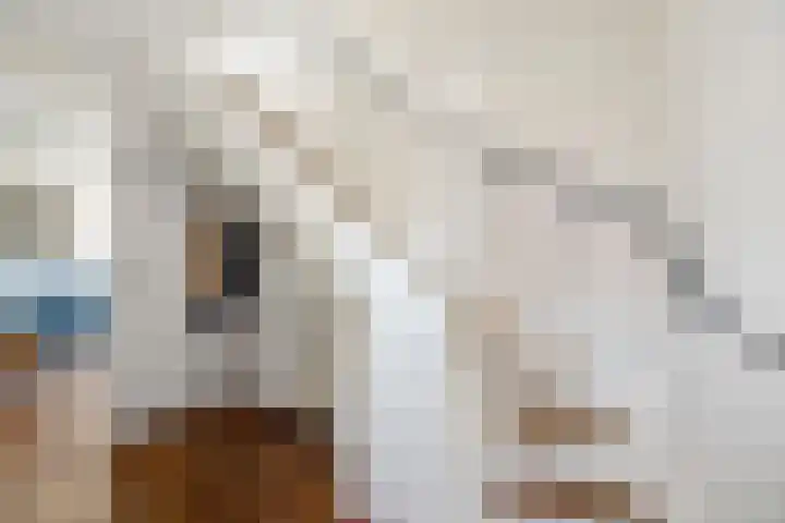 van Goghstraat 34 Twello thumbnail 4