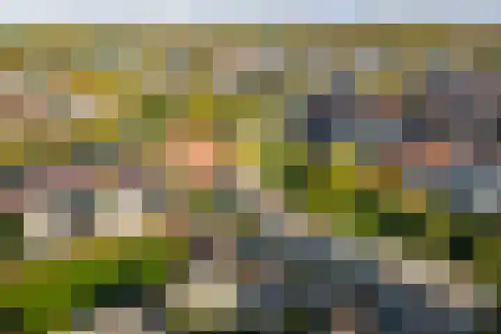 van Goghstraat 34 Twello thumbnail 40
