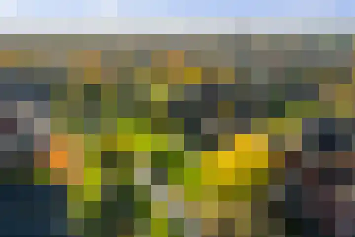 van Goghstraat 34 Twello thumbnail 41