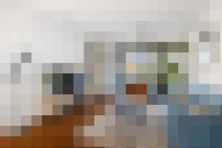 van Goghstraat 34 Twello thumbnail 8