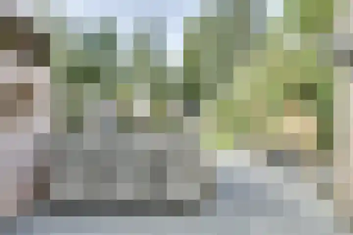 Van Goghstraat 38 Apeldoorn thumbnail 25