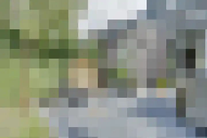 Van Goghstraat 38 Apeldoorn thumbnail 26