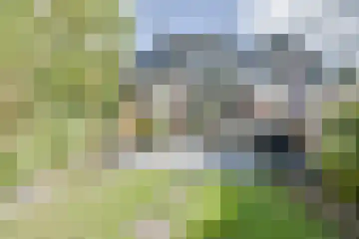 Van Goghstraat 38 Apeldoorn thumbnail 27