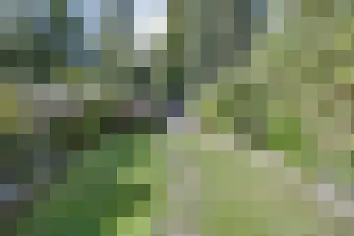 Van Goghstraat 38 Apeldoorn thumbnail 28