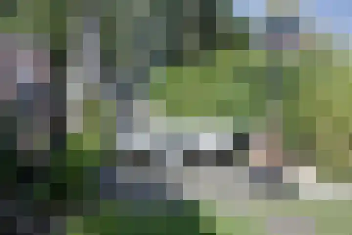 Van Goghstraat 38 Apeldoorn thumbnail 29