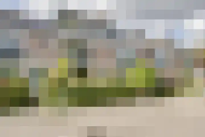 Van Goghstraat 38 Apeldoorn thumbnail 34