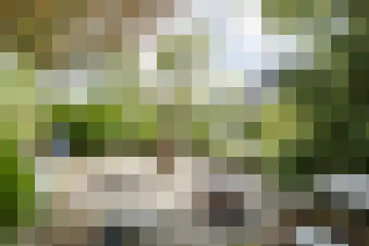 Van Goghstraat 38 Apeldoorn thumbnail 36