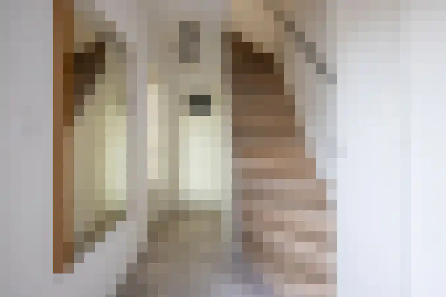 Van Goghstraat 38 Reeuwijk thumbnail 13