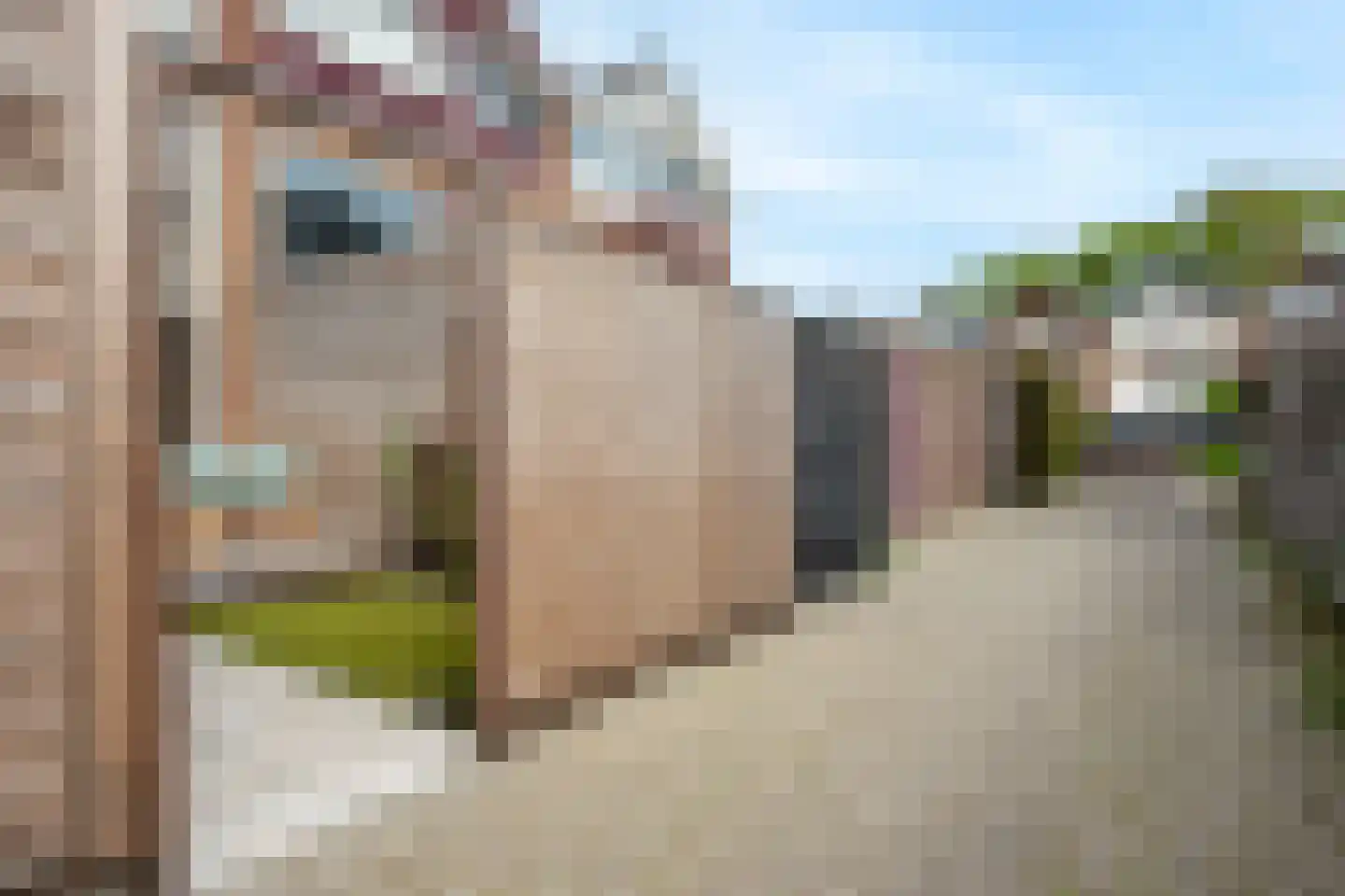 Van Goghstraat 38 Reeuwijk thumbnail 57