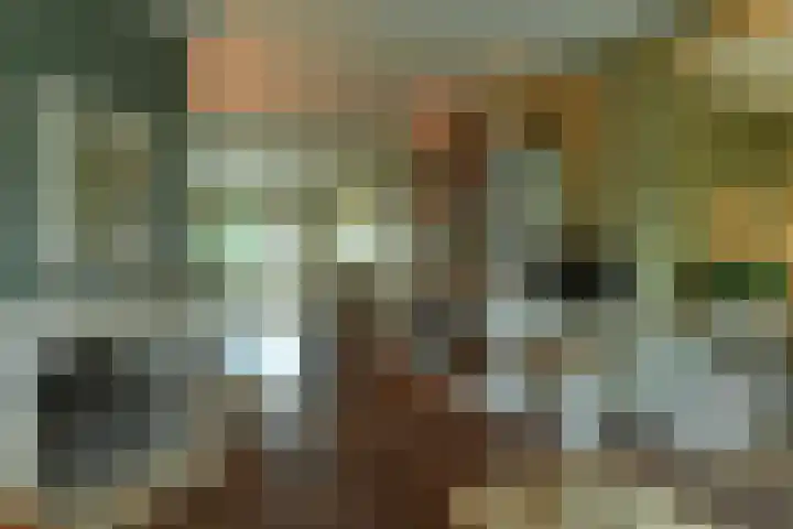 Van Goghstraat 4 Arnhem thumbnail 10