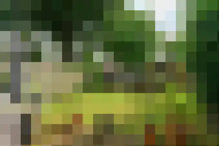 Van Goghstraat 4 Arnhem thumbnail 4
