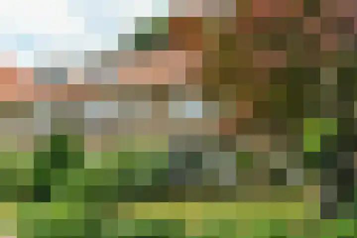Van Goghstraat 4 Arnhem thumbnail 5
