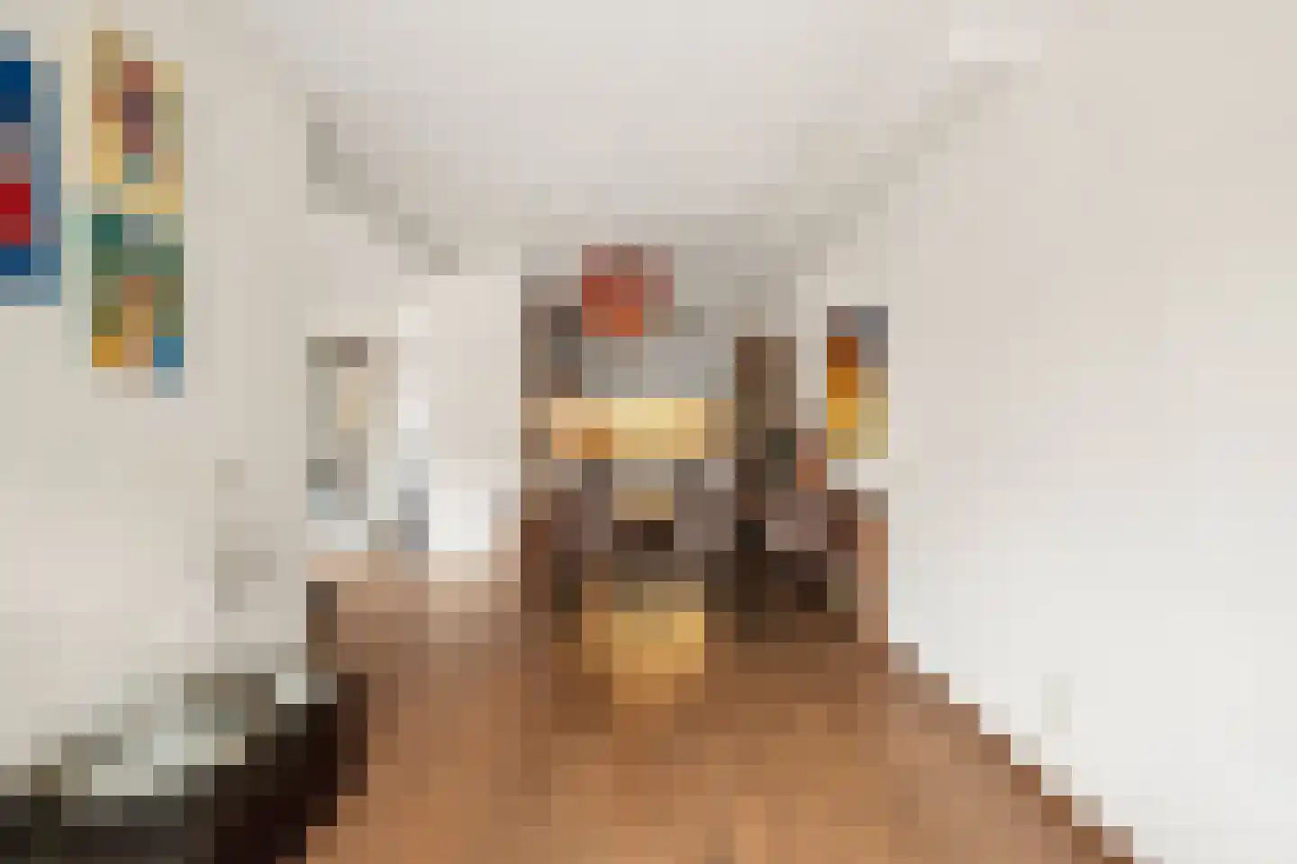 van Goghstraat 4 Duiven thumbnail 15
