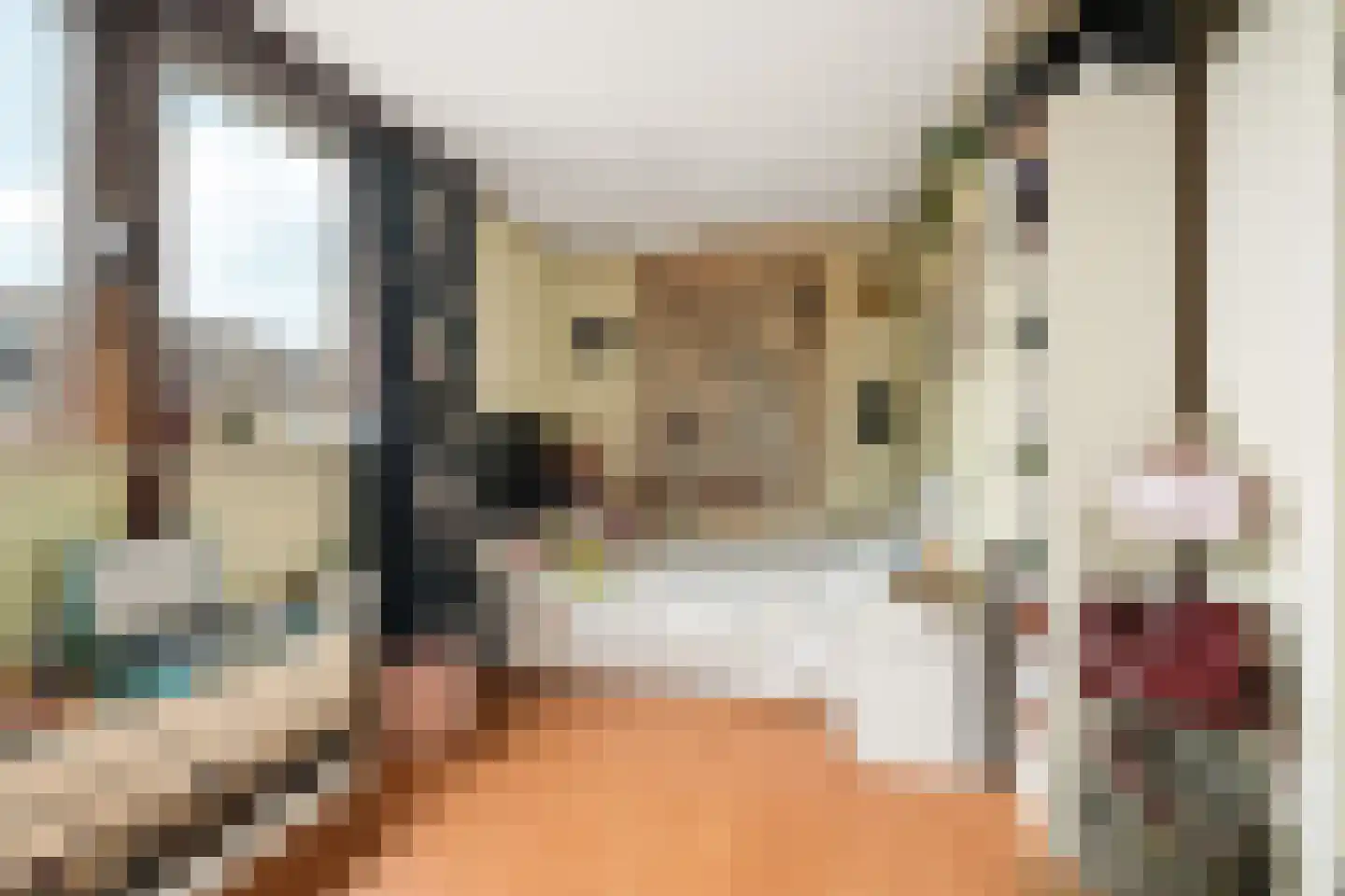 van Goghstraat 4 Duiven thumbnail 20