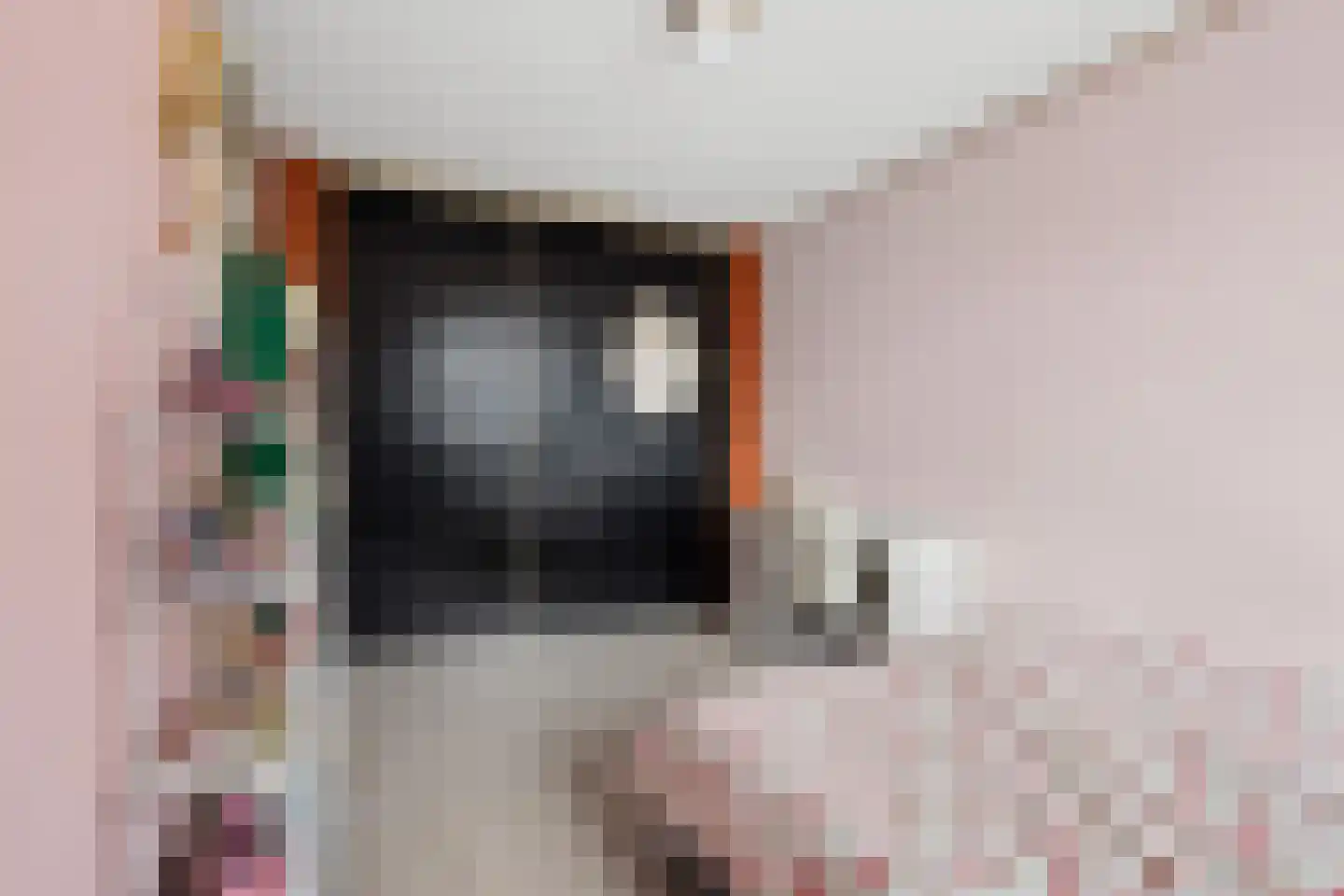 van Goghstraat 4 Duiven thumbnail 23