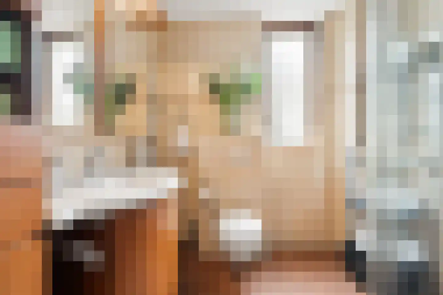 van Goghstraat 4 Duiven thumbnail 24