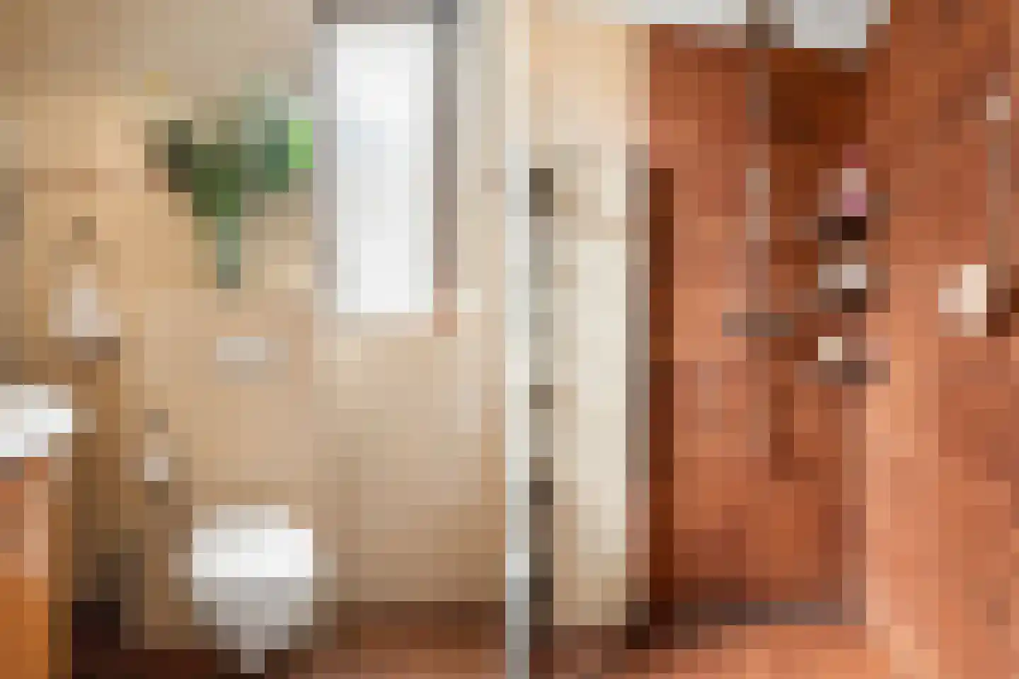 van Goghstraat 4 Duiven thumbnail 25