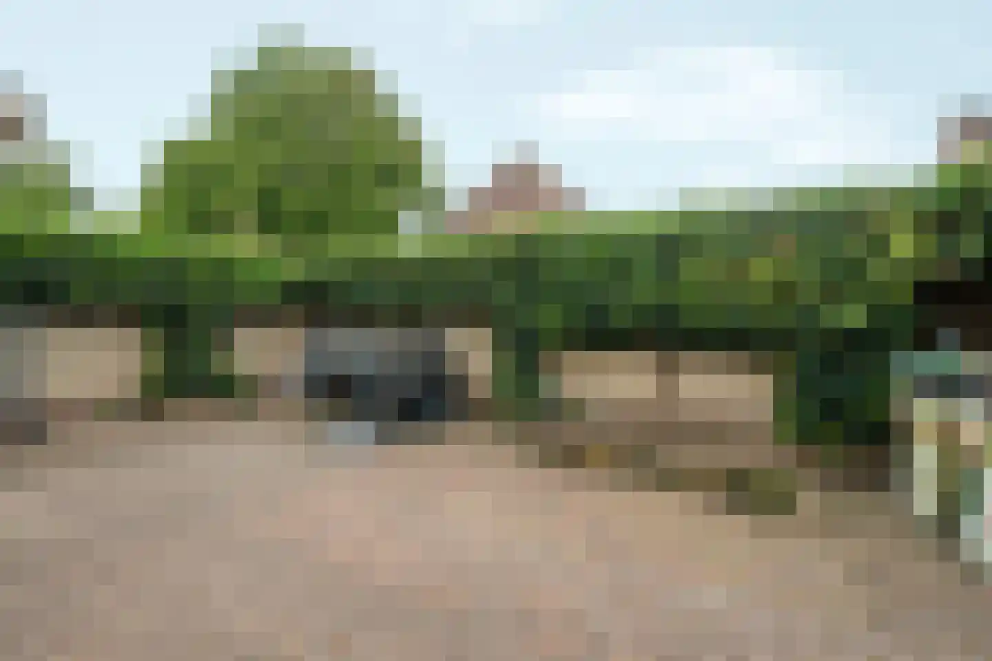 van Goghstraat 4 Duiven thumbnail 33