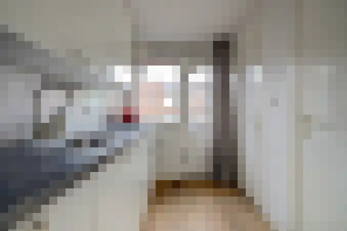 van Goghstraat 4 Zwijndrecht thumbnail 12
