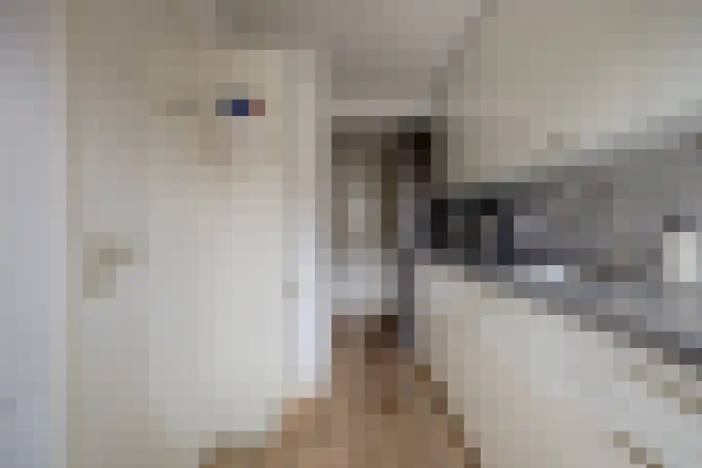 van Goghstraat 4 Zwijndrecht thumbnail 14