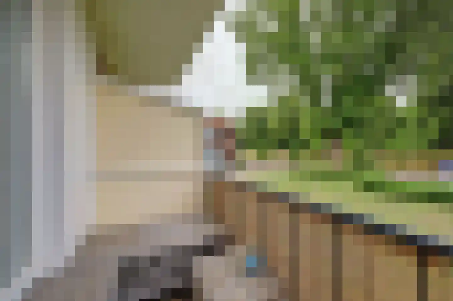 van Goghstraat 4 Zwijndrecht thumbnail 17