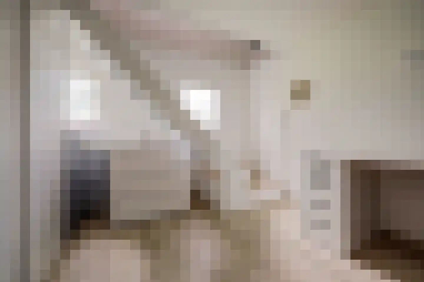 van Goghstraat 4 Zwijndrecht thumbnail 23